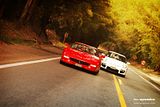 Porsche e Ferrari