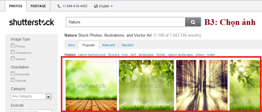 [Shutterstock.com] Hình ảnh shutterstock giá cực rẻ: 5k/image-vector, 100k/video - 13