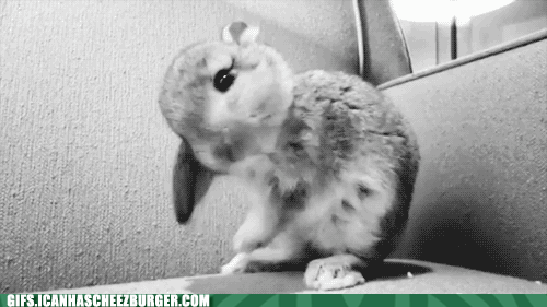  photo tumblr_m7ph0n7F0H1ry1utqo1_500.gif