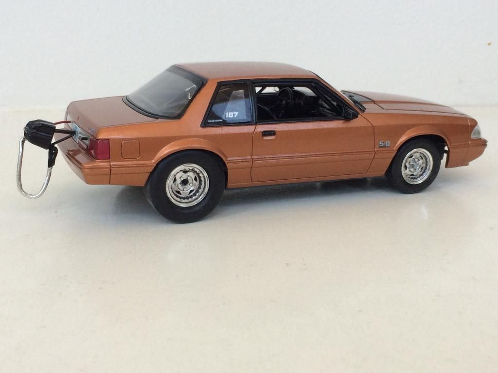 1D74606F-1E88-4BC1-A377-6035CF2ECEDB_zps