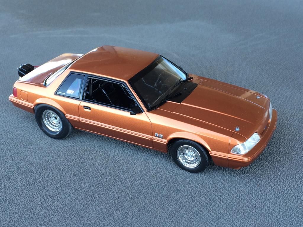 18D83447-BA53-4701-8F23-38CB9C6633EF_zps