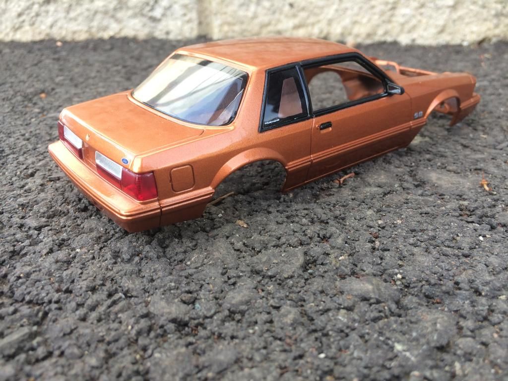 D379EDFC-56C8-42D2-99C0-771149CF36F5_zps