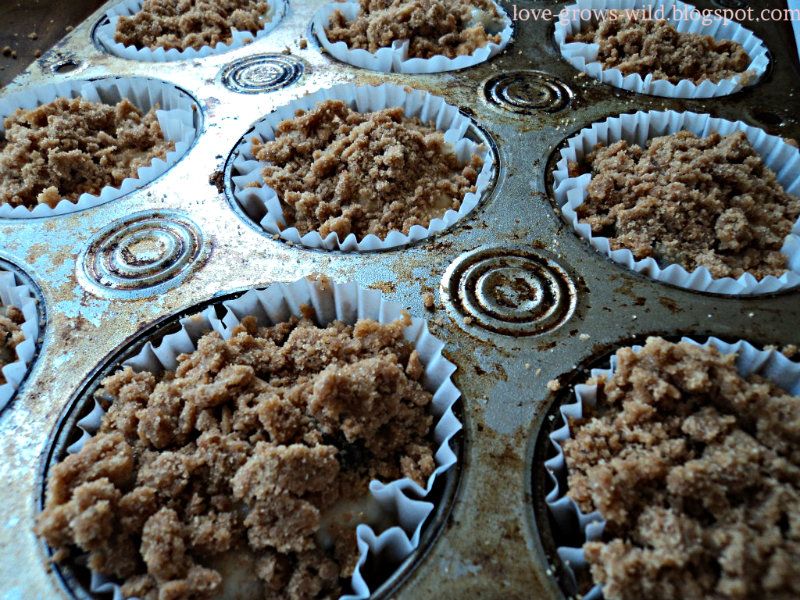 Blueberry Muffins Edit 13