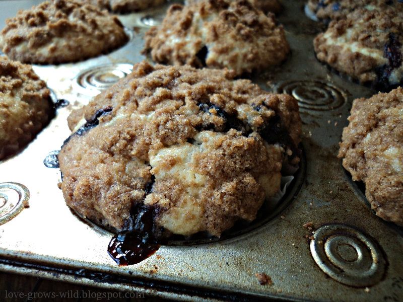 Blueberry Muffins Edit 14