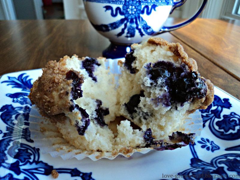 Blueberry Muffins Edit 15
