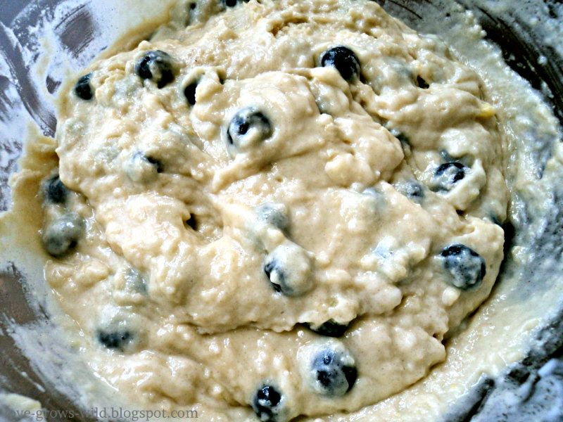 Blueberry Muffins Edit 9