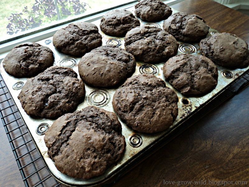 Chocolate Chunk Muffins Edit 16