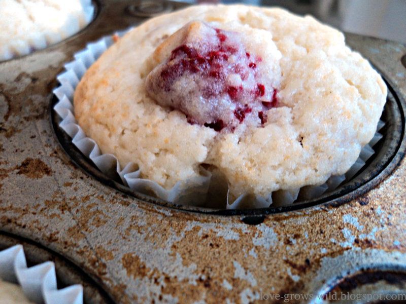 Lemon-Raspberry Muffins Edit 16