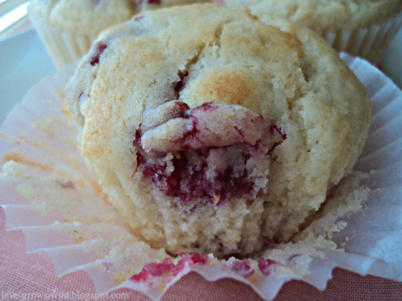 Lemon-Raspberry Muffins Edit 18