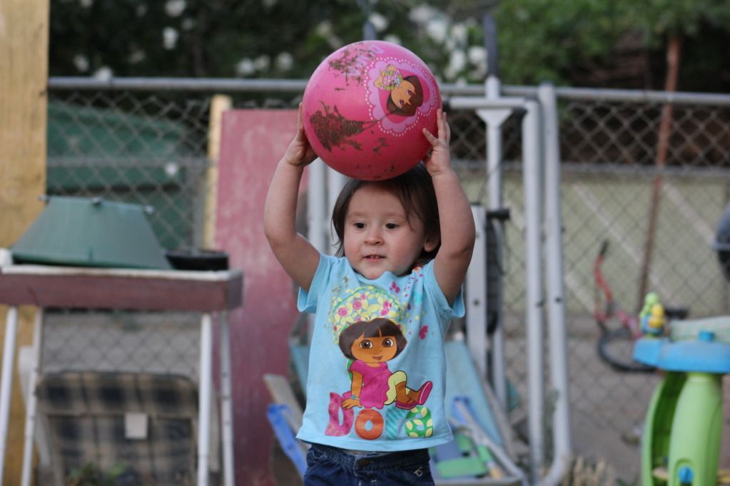 IMAGE: http://i1058.photobucket.com/albums/t412/kukulkan67/IMG_0297.jpg