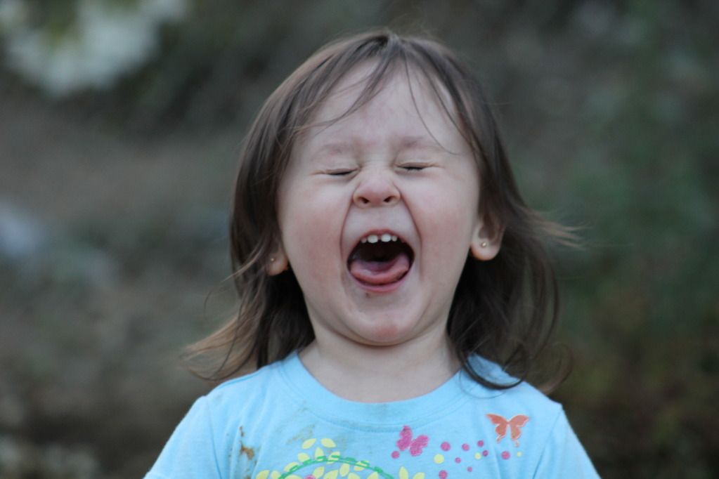 IMAGE: http://i1058.photobucket.com/albums/t412/kukulkan67/IMG_0318.jpg