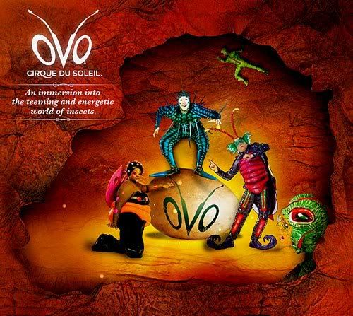 OVO by Cirque du Soleil, OVO by Cirque du Soleil. For a review visit http://www.hollywoodheat.net/