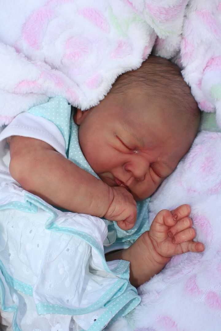 butterfly babies reborn dolls