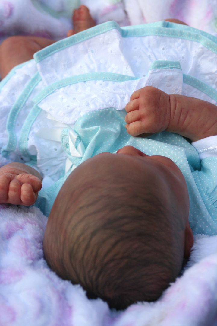 butterfly babies reborn dolls