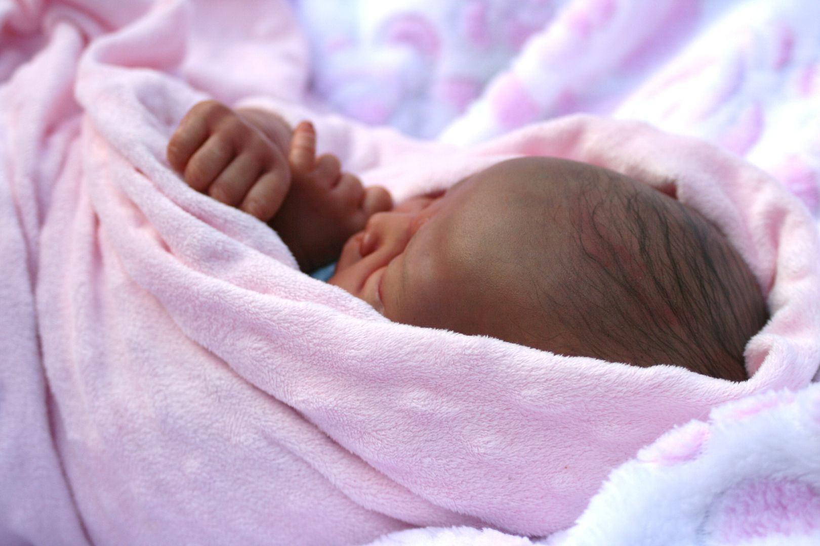 butterfly babies reborn dolls