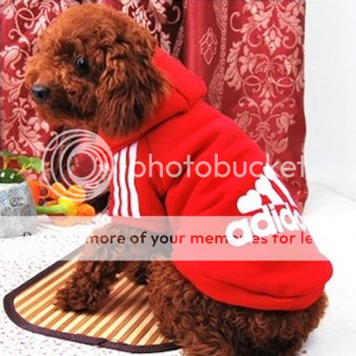 New Pet Puppy Dog Cat Coat Clothes Hoodie Sweater T Shirt Jumper Jacket Costumes