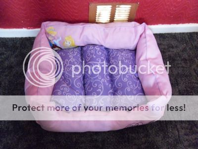 Disney Princess Dog Bed